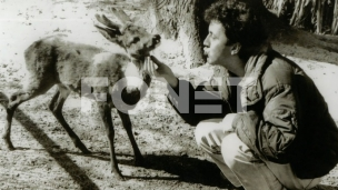 Sećanje na Nešu Leptira 